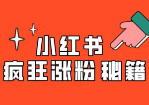 6个月 涨粉 100万我是怎么做到的？